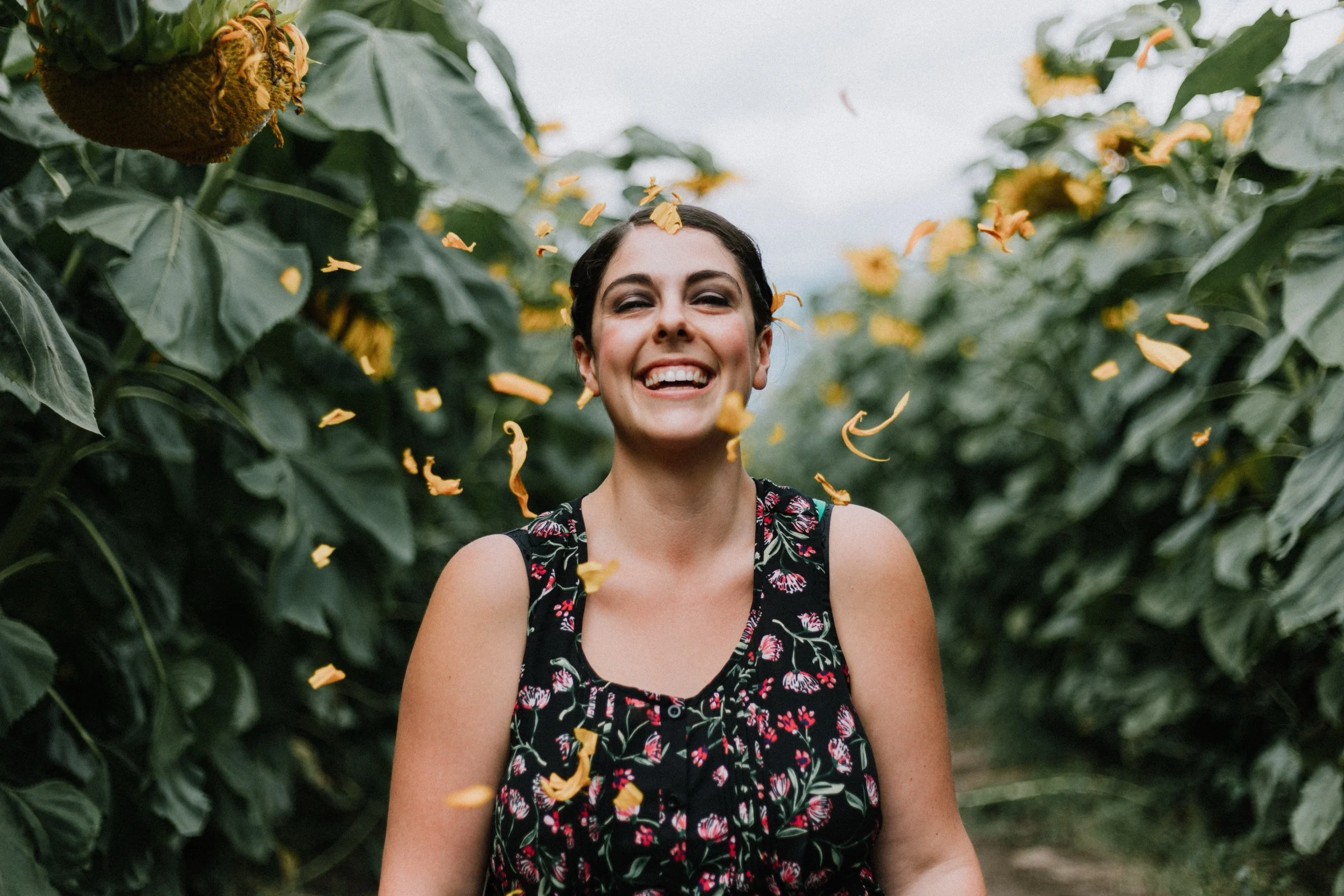 Image by Priscilla Du Preez 🇨🇦