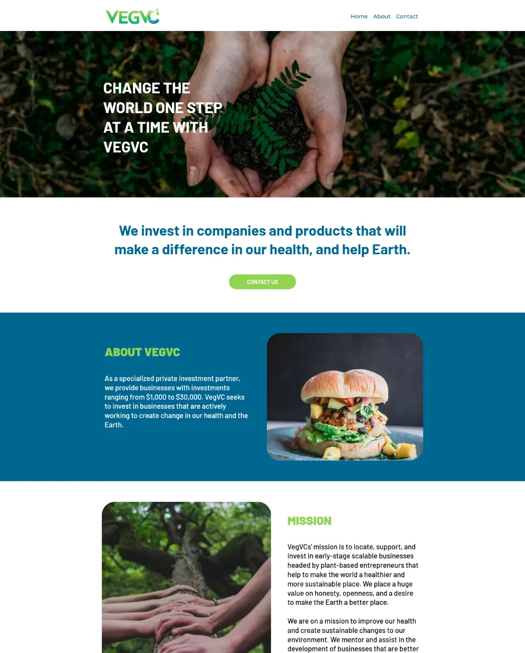 VEG VC project work