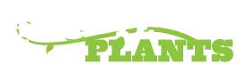 Real People Eat Plants